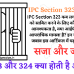 what is ipc section 323