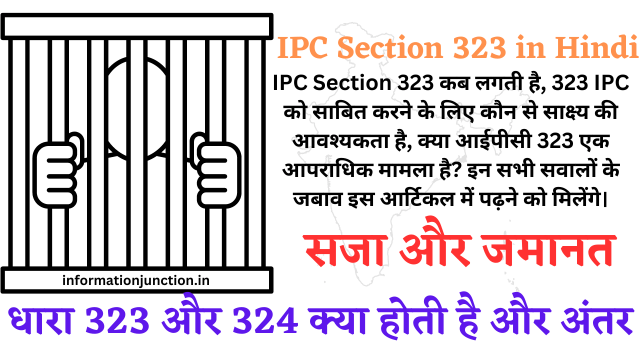 what is ipc section 323